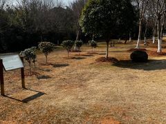 -盘龙城遗址博物院