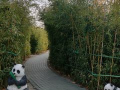 -翠林云庄大酒店