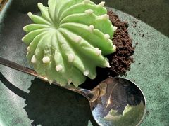 -道海元·潮粤汇 (前滩店)