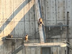 -无锡动物园·太湖欢乐园