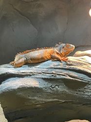 -Zoolung Zoolung动物主题公园(海信广场店)