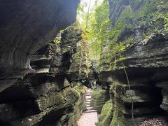 -梭布垭石林景区