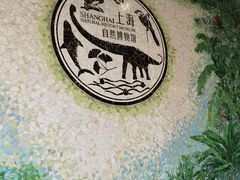 -自然博物馆新馆2楼餐厅