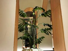 -森Some Fusion(荔湾店)