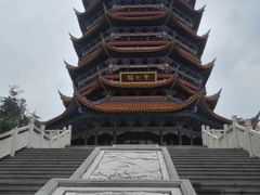 -铁山坪森林公园