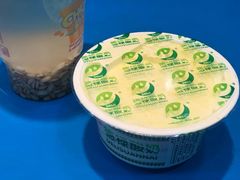 -德禄酸奶(莫家街店)