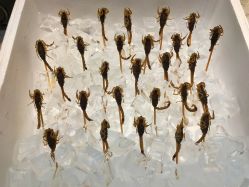 -花家怡园·宴会厅(簋街四合院总店)