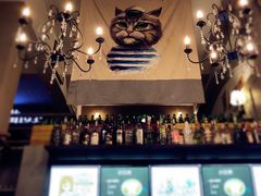 -猫咪博物馆(顶澳仔猫街店)
