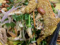 -东鸽皇(奥园·中环广场店)