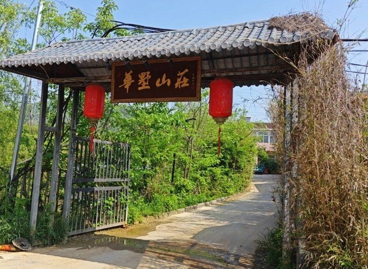 一片绿意盎然的好地方