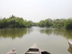 想念西溪野摘蓬蘽-吴淞炮台湾湿地森林公园烧烤区