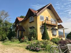 -黄色小屋