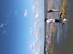 -南汇嘴观海公园