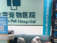 -佳雯宠物医院·皮肤科·内外科(春晓路分院)