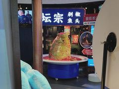 -坛宗剁椒鱼头(河西王府井店)