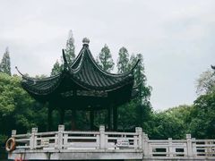 -汇龙潭