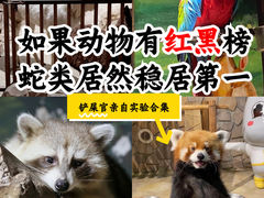 -绿色星球动物主题公园