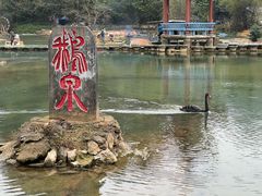 -靖西鹅泉风景区