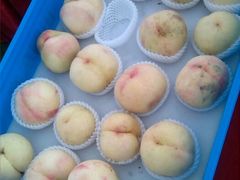 android_upload_pic-田园东方蜜桃村的田野营地