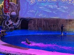 -华夏文旅海洋公园