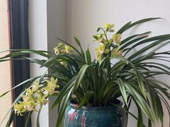 -荷风细雨·中国茶宴(碧云店)