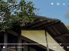 -福建鲤鱼洲酒店