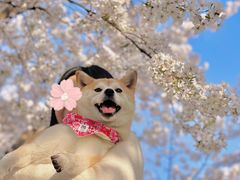 -龙美术馆(西岸馆)