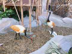 -杭州开元森泊度假乐园