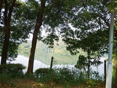 -红花湖景区