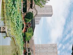 -龙潭水乡