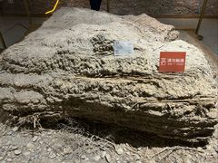 -敦煌市博物馆
