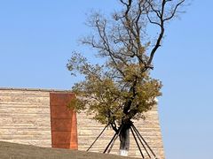 -盘龙城国家考古遗址公园