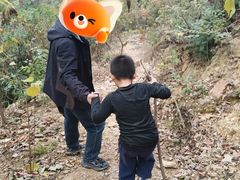 -青龙山国家森林公园