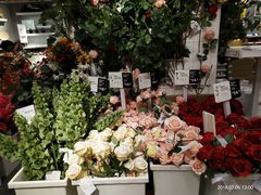 -宜家家居(哈尔滨商场店)