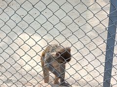 -渭南桃花源民俗文化园