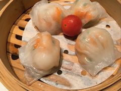 -新兴·金羊座·粤菜点心(乐峰店)