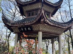 -岳麓山风景名胜区