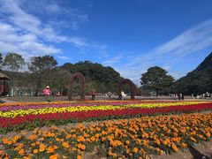 -广州市石门国家森林公园
