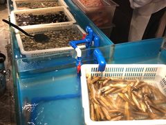 -星伦多 自助料理(圆融店)