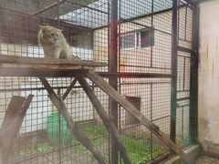 -青藏高原野生动物园