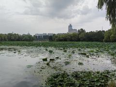 -长春市南湖公园