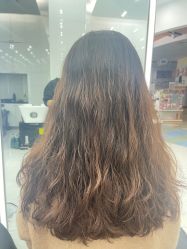 -东方麒麟·潘多拉SALON