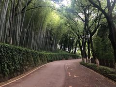 -上海市保健医疗中心