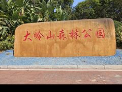 -东莞市大岭山森林公园