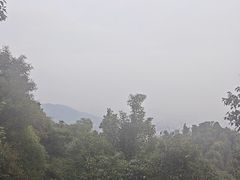 -桃花岭景区