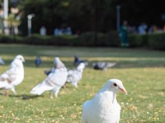 -白鹭洲公园