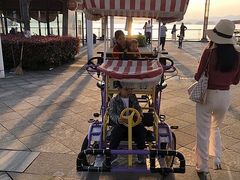 -绿城千岛湖喜来登度假酒店