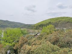 -南北湖风景区