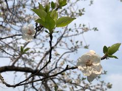 -重庆中央公园(渝北区)