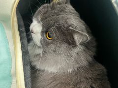 -博特宠物医院24h犬猫全科.骨科·异宠